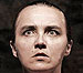 Dávníkové
