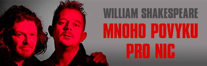 Mnoho povyku pro nic
