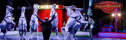 Národní Cirkus Originál Berousek Národní Cirkus Originál Berousek