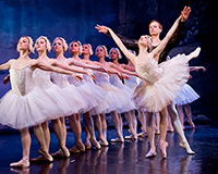The Best of Swan Lake