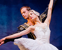 The Best of Swan Lake