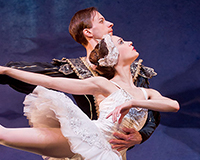 The Best of Swan Lake