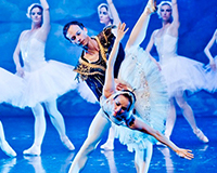 The Best of Swan Lake