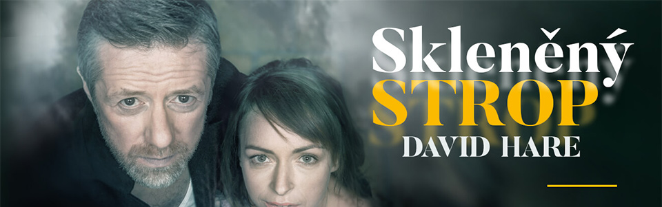 Skleněný strop Skleněný strop