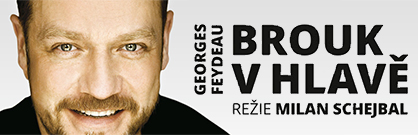 Brouk v hlavě Brouk v hlavě