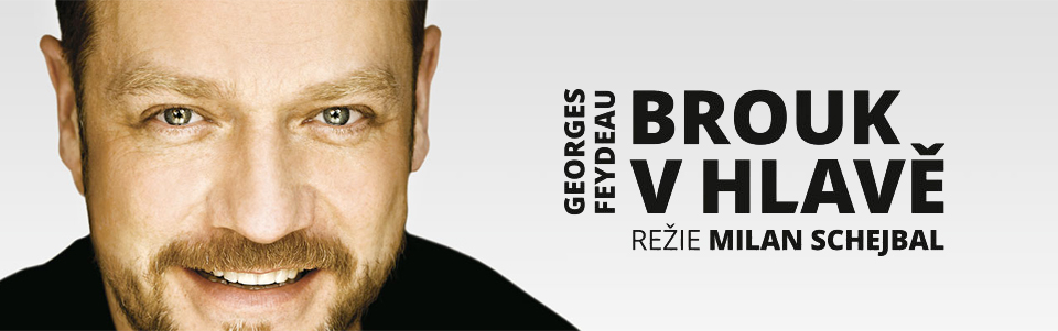 Brouk v hlavě Brouk v hlavě