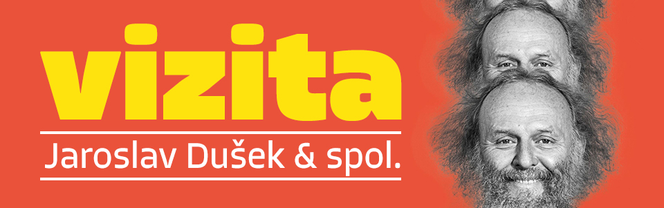 Vizita Vizita