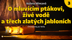 O mluvícím ptákovi, živé vodě a třech zlatých jabloních (3/3)