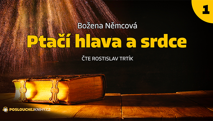 Božena Němcová: Ptačí hlava a srdce (1/4) Božena Němcová: Ptačí hlava a srdce (1/4)