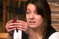 Krkonošské pohádky