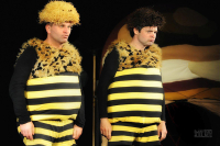 Příhody včelích medvídků