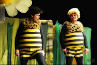 Příhody včelích medvídků