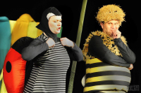 Příhody včelích medvídků