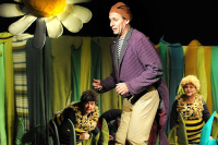 Příhody včelích medvídků