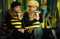 Příhody včelích medvídků