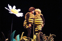 Příhody včelích medvídků