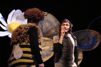 Příhody včelích medvídků