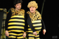 Příhody včelích medvídků